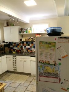 solar whiz lights - skylights alternative